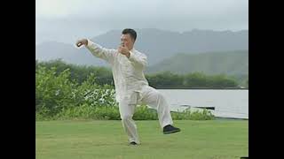 Alex Dong | Slow Set Taiji 1st part