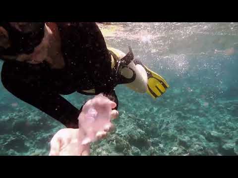 Maupiti Uncovered: Essential Tips to Maximize Your Visit