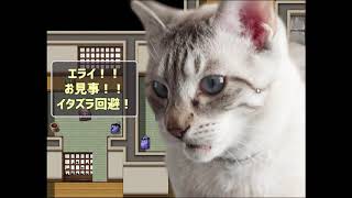 猫、飼い始めました【猫飼いシミュレーション】