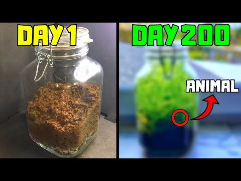 Putting nothing but dirt in a jar, THIS happened