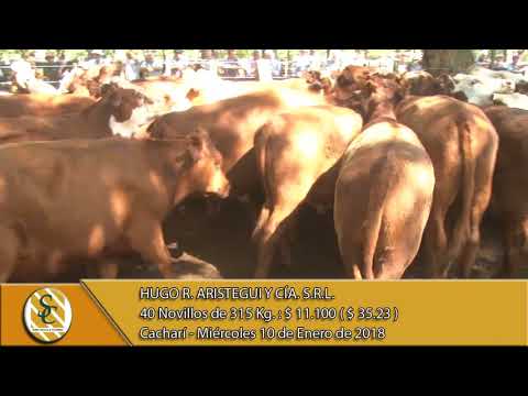 10-01-18 Venta de Macho - Hugo R. Aristegui y Cía. S.R.L. - Cacharí