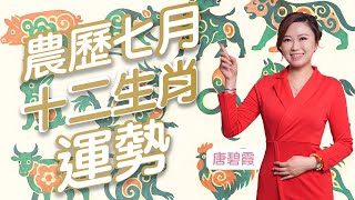 農厝七月十二生肖運程 | 屬X的朋友農厝七月不宜投資 | 屬X的朋友有金匱匱吉星高照 有如八方來財 | 屬X的朋友貴人運比較強 好好把握今個月的人際關係