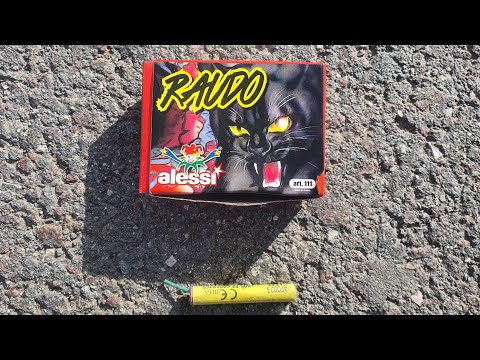 TEST RAUDO FIESTA ALBA