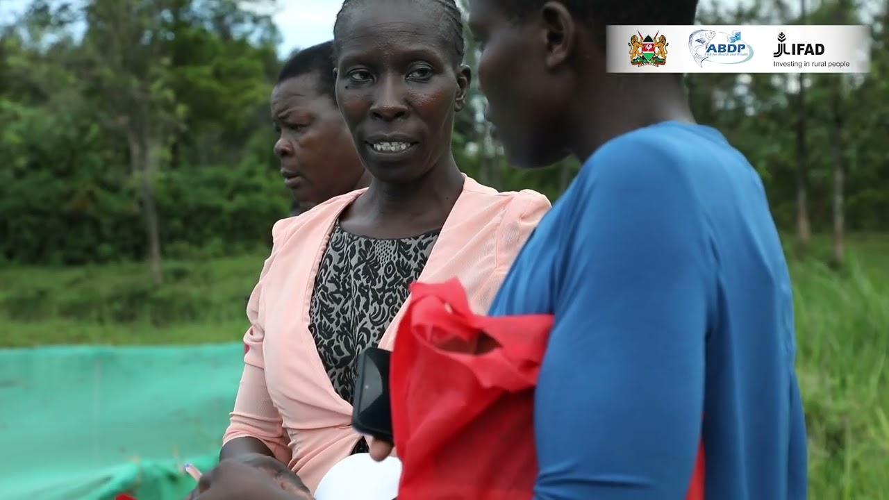 ABDP BENEFICIARIES - KEROCHE WOMEN GROUP - HOMA BAY COUNTY