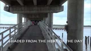 preview picture of video 'Fishing Pier Under the East End of 206 Bridge in Crescent Beach, Florida'