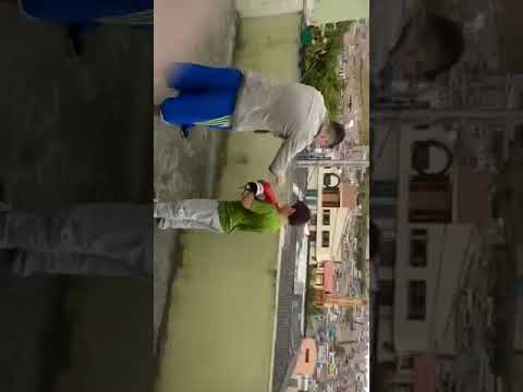 La pelea de miguel vs samuel