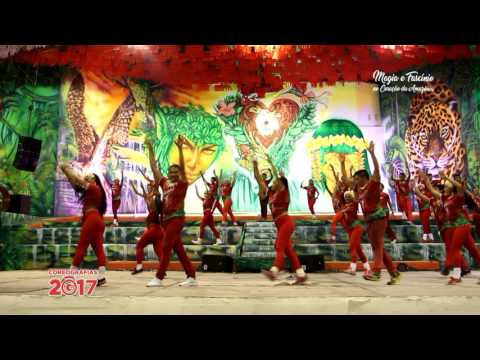 Coreografia BOI GARANTIDO 2017  - Toada: AMOR PRA VIDA INTEIRA