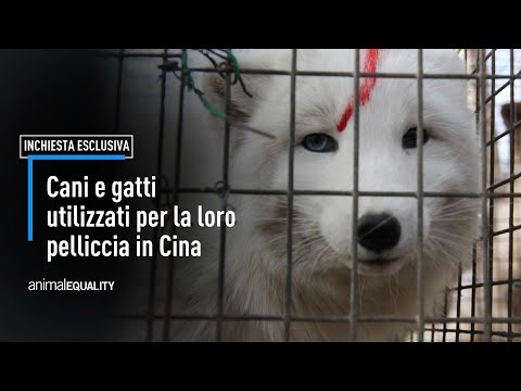 Iniezioni di medicina osteocondrosi Muscoli congiunge il trattamento di folk