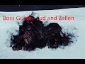 Dark Souls 2 - Lud and Zallen Boss Guide (solo strategy)