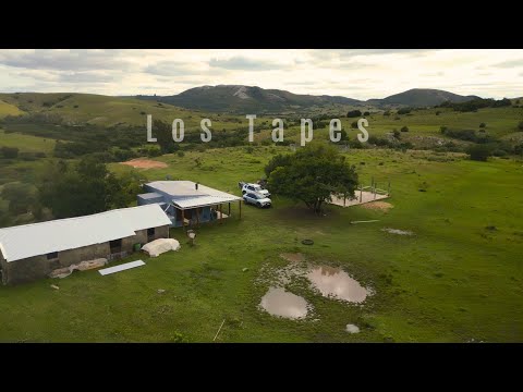"¡CUIDADO! 🚫🐍🌳💀 Los Tapes 📍🏘️🌾 | Peligro Serpentino en Uruguay 🇺🇾🌎⚡"
