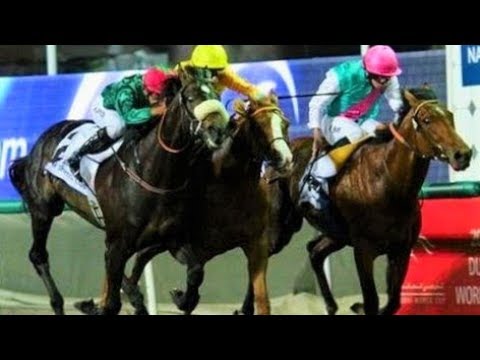 2009 Dubai Sheema Classic G1 - Eastern Anthem (東方頌) - A.Ajtebi