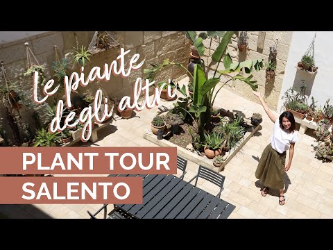 , title : 'PLANT TOUR IN PUGLIA | +150 piante grasse da sballo'