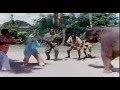 Intelligent Monkey Helping Elephant To Escape Annai Oru Aalayam