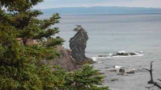 Newfoundland,nothing like an ocean!.wmv