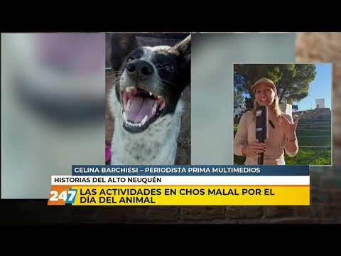 Las actividades en Chos Malal por el día del animal | Celina Barchiesi | Entretiempo