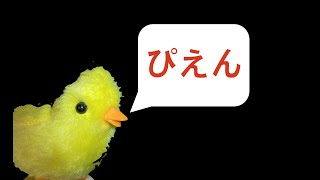 [PIEN]ホラーゲームは苦手って言ってるでしょ!!!