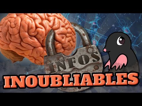 TOP 10 des INFOS QUE VOUS N’OUBLIEREZ PLUS JAMAIS