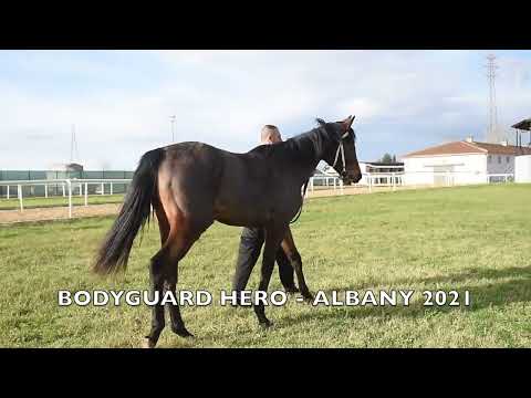 BODYGUARD HERO   ALBANY 2021
