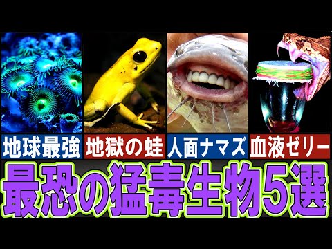 バトラコトキシンの構造。