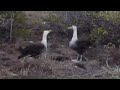 Kissing Gif