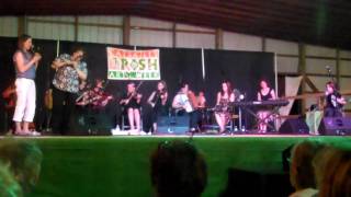 Cherish the Ladies w/ a bunch of Friends  - Cats Meow