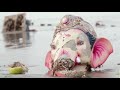 Morya Re Bappa Latest Video Kailash Kher Meet Bros Anjjan Hariom Aryan Rinku Sharma