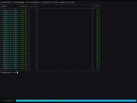 Deploying a 4 Server SDS cluster with 20 resources: Demo