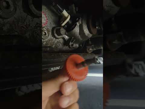 Speedometer Gear
