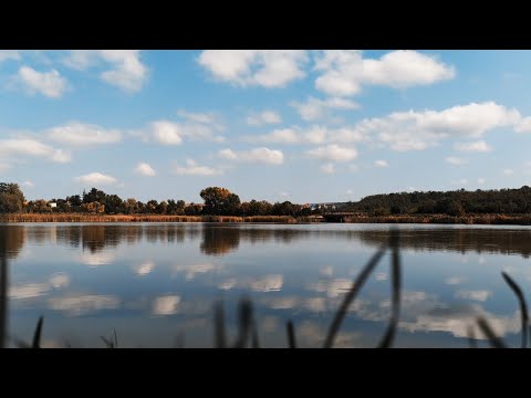 Mogg feat  Pazzo -  Totem