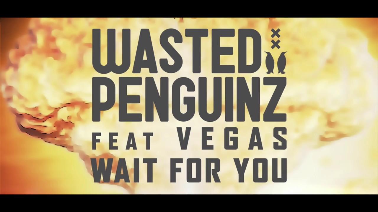 Wasted Penguinz ft. Vegas — Wait For You