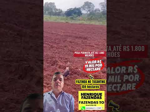 Fazenda no Tocantins #agro #gado #pecuarista #fazenda #agricultura