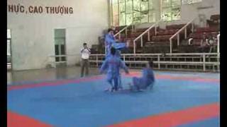 preview picture of video 'Vovinam Viet Vo Dao Don Chan Tan Cong - Vietnam 2007'
