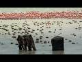 Behind The Scenes Of Planet Earth III BBC Earth