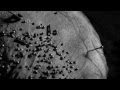 Benoit Pioulard - "Reliquary" official video