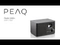 PEAQ Radio DAB+ PDR 170 BT (IT)