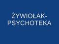 ŻYWIOŁAK-PSYCHOTEKA 