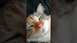 Eu acho que ela já se esqueceu!