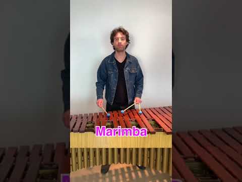 \Opening\ iPhone Ringtone on 4 Different Mallet Instruments