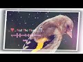 Sontham Illai Pantham Illai Song What Sapp Status
