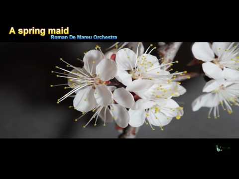 [AUDIO] 봄 처녀 - A spring maid | Roman De Mareu Orchestra