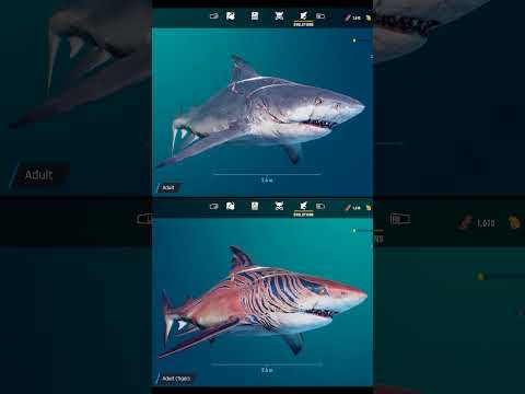 MANEATER ALL SHARKS EVOLUTION