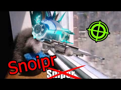 Someone Without Accuracy Explains KF2 Sharpshooter