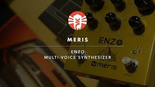 Meris Enzo - What To Know & Where To Buy | Equipboard Meris Enzo - What To Know & Where To Buy | Equipboard