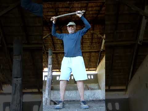 ATV 258   21 de novembro de 2025