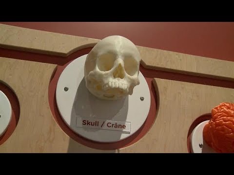 image-What is the world's largest science and Technology Museum?
