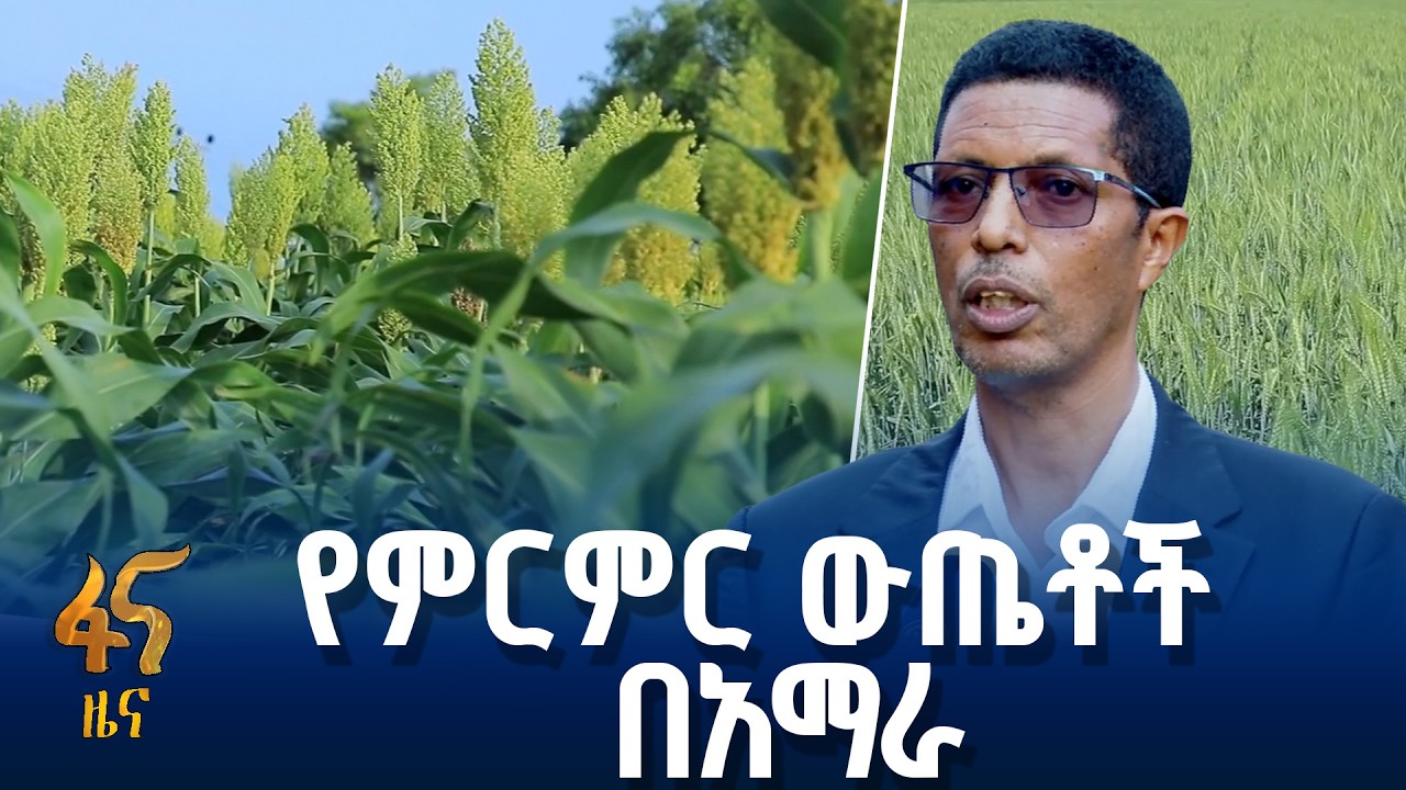 ለምርታማነት እና ለብልጽግና