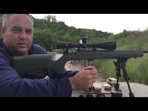 CZ 455 American 22lr Accuracy (tacticool)