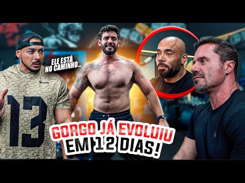 CARIANI, FRANCO E BALESTRIN AVALIARAM A EVOLUÇÃO DO GORGONOID EM 12 DIAS