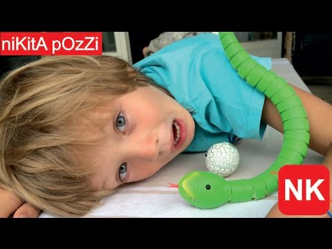 Come trattare un cavallo vermi Perché il bambino ha spesso vermi