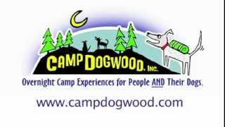 CampDogwoodHighlights